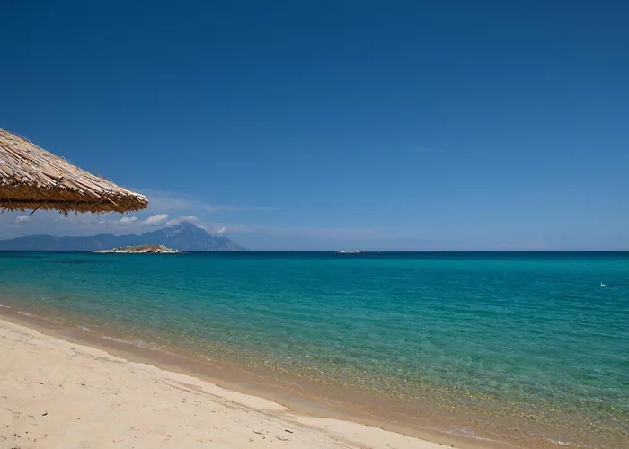 Jo And Chris House Appartement