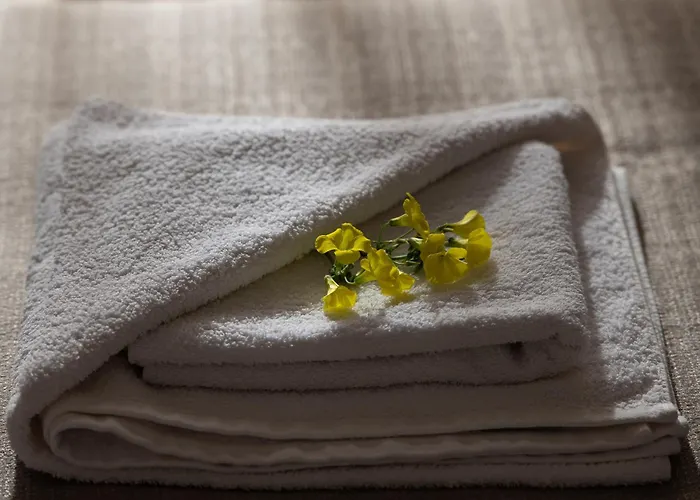 Jo And Chris House Appartement *