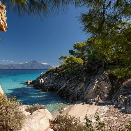 Apartamento Jo And Chris House *